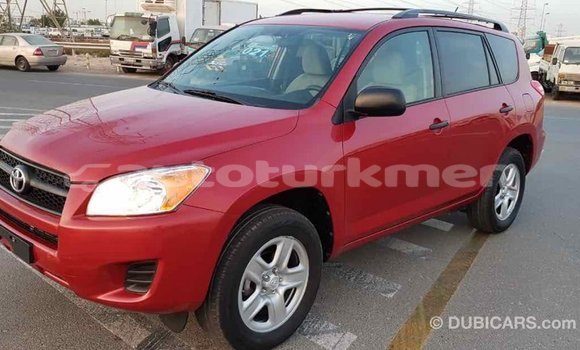 Buy Import Toyota RAV4 Red Car in Import - Dubai in Ahal Buy Import Toyota RAV4 Red Car in Import - Dubai in Ahal