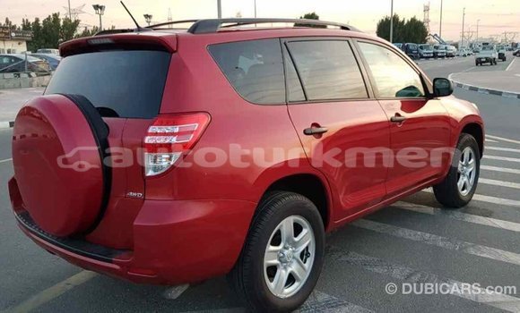 Buy Import Toyota RAV4 Red Car in Import - Dubai in Ahal Buy Import Toyota RAV4 Red Car in Import - Dubai in Ahal