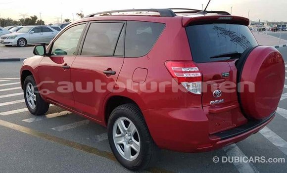 Buy Import Toyota RAV4 Red Car in Import - Dubai in Ahal Buy Import Toyota RAV4 Red Car in Import - Dubai in Ahal