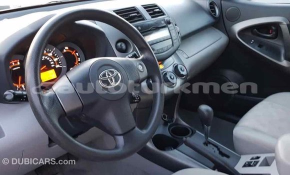 Buy Import Toyota RAV4 Red Car in Import - Dubai in Ahal Buy Import Toyota RAV4 Red Car in Import - Dubai in Ahal