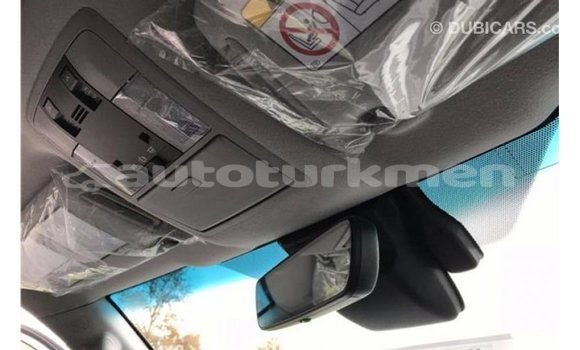 Buy Import Toyota Prado Other Car in Import - Dubai in Ahal Buy Import Toyota Prado Other Car in Import - Dubai in Ahal