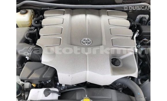 Buy Import Toyota Land Cruiser White Car in Import - Dubai in Ahal Buy Import Toyota Land Cruiser White Car in Import - Dubai in Ahal