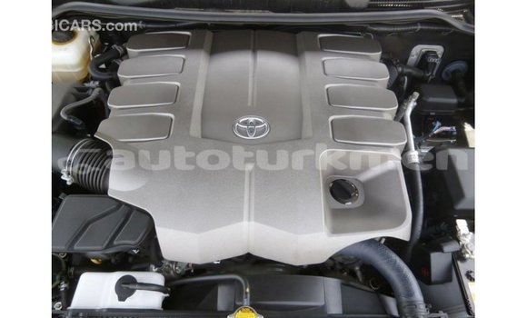 Buy Import Toyota Land Cruiser Black Car in Import - Dubai in Ahal Buy Import Toyota Land Cruiser Black Car in Import - Dubai in Ahal