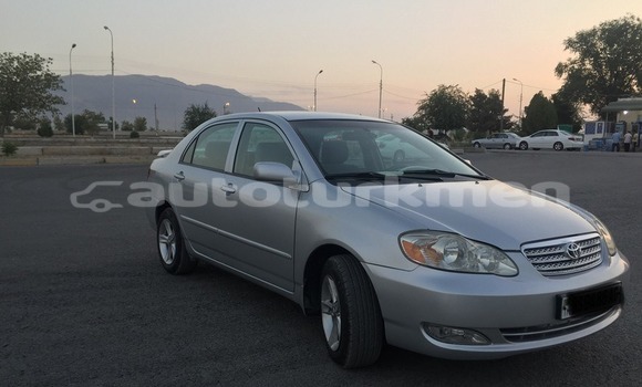 Buy Used Toyota Corolla Silver Car in Asgabat in Asgabat