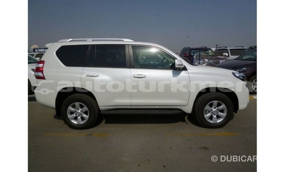 Buy Import Toyota Prado White Car in Import - Dubai in Ahal Buy Import Toyota Prado White Car in Import - Dubai in Ahal