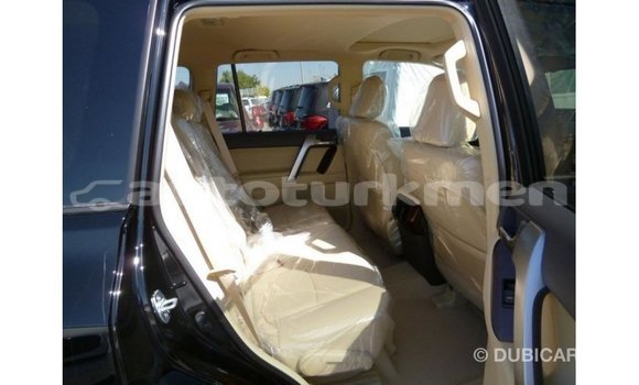 Buy Import Toyota Prado Black Car in Import - Dubai in Ahal Buy Import Toyota Prado Black Car in Import - Dubai in Ahal