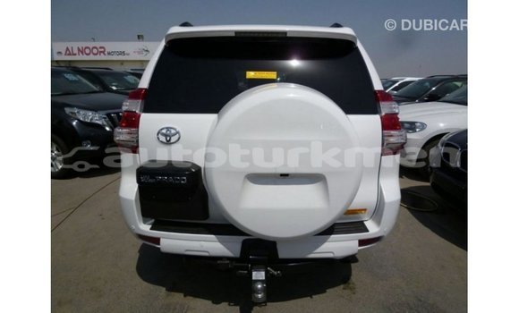 Buy Import Toyota Prado White Car in Import - Dubai in Ahal Buy Import Toyota Prado White Car in Import - Dubai in Ahal