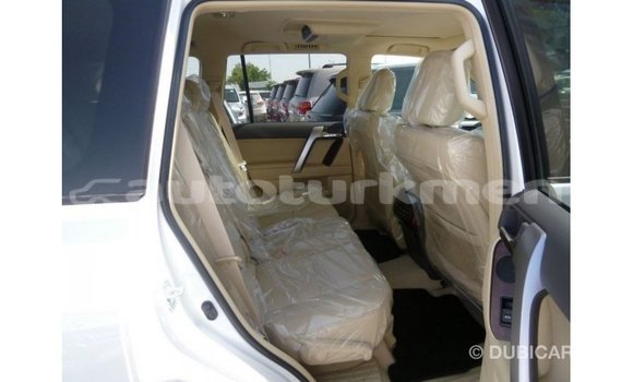 Buy Import Toyota Prado White Car in Import - Dubai in Ahal Buy Import Toyota Prado White Car in Import - Dubai in Ahal