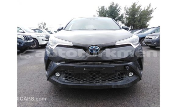 Buy Import Toyota C-HR Other Car in Import - Dubai in Ahal Buy Import Toyota C-HR Other Car in Import - Dubai in Ahal