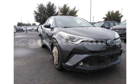 Buy Import Toyota C-HR Other Car in Import - Dubai in Ahal Buy Import Toyota C-HR Other Car in Import - Dubai in Ahal