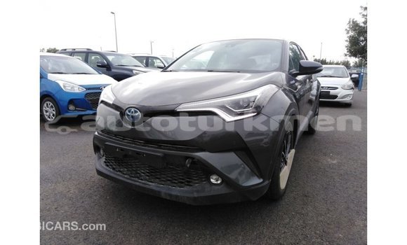 Buy Import Toyota C-HR Other Car in Import - Dubai in Ahal Buy Import Toyota C-HR Other Car in Import - Dubai in Ahal