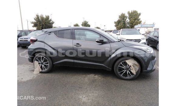 Buy Import Toyota C-HR Other Car in Import - Dubai in Ahal Buy Import Toyota C-HR Other Car in Import - Dubai in Ahal