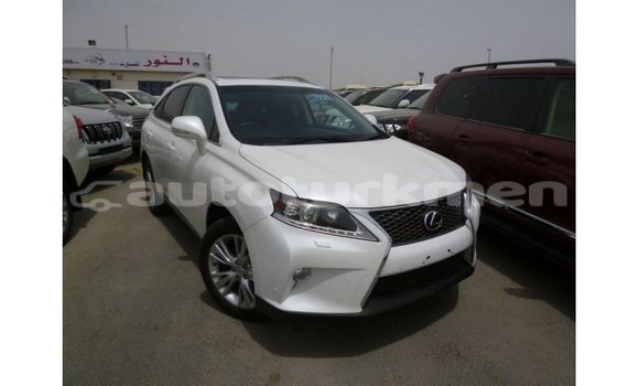 Buy Import Lexus RX 350 White Car in Import - Dubai in Ahal Buy Import Lexus RX 350 White Car in Import - Dubai in Ahal
