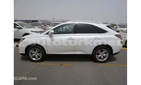Buy Import Lexus RX 350 White Car in Import - Dubai in Ahal Buy Import Lexus RX 350 White Car in Import - Dubai in Ahal