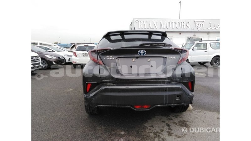 Big with watermark b619c7b7 f9f6 4e72 836d 1f123d9e2426
