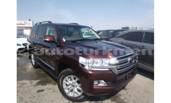 Buy Import Toyota Land Cruiser Brown Car in Import - Dubai in Ahal Buy Import Toyota Land Cruiser Brown Car in Import - Dubai in Ahal