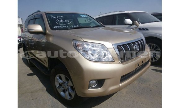 Buy Import Toyota Prado Other Car in Import - Dubai in Ahal Buy Import Toyota Prado Other Car in Import - Dubai in Ahal