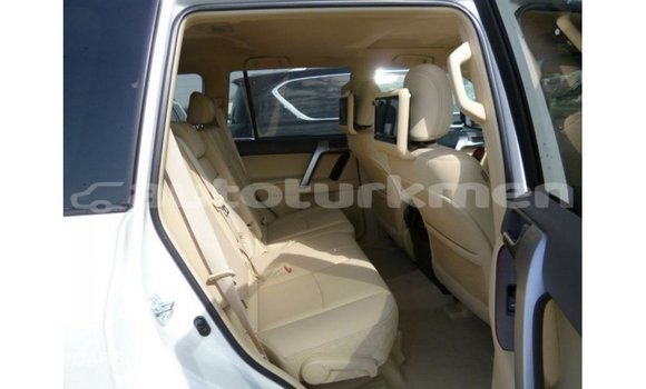 Buy Import Toyota Prado White Car in Import - Dubai in Ahal Buy Import Toyota Prado White Car in Import - Dubai in Ahal