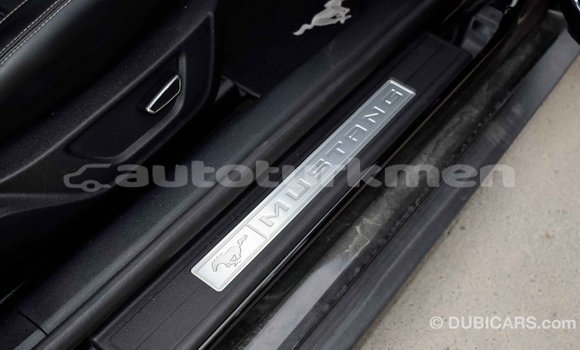 Buy Import Ford Mustang Black Car in Import - Dubai in Ahal Buy Import Ford Mustang Black Car in Import - Dubai in Ahal