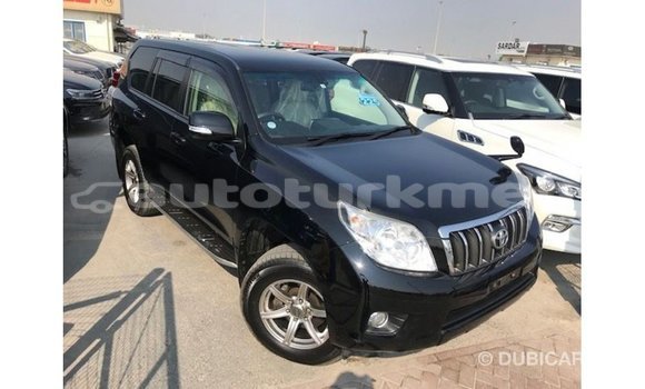 Buy Import Toyota Prado Black Car in Import - Dubai in Ahal Buy Import Toyota Prado Black Car in Import - Dubai in Ahal