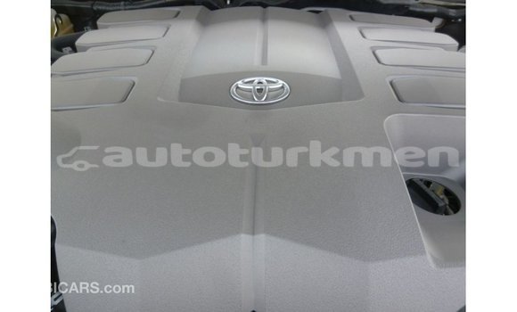 Buy Import Toyota Land Cruiser White Car in Import - Dubai in Ahal Buy Import Toyota Land Cruiser White Car in Import - Dubai in Ahal