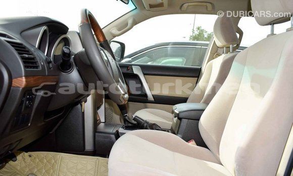Buy Import Toyota Prado Other Car in Import - Dubai in Ahal Buy Import Toyota Prado Other Car in Import - Dubai in Ahal