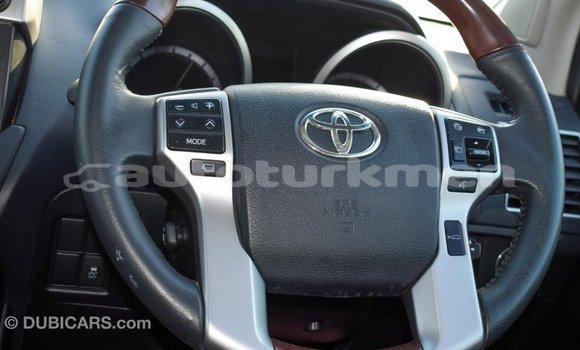 Buy Import Toyota Prado Other Car in Import - Dubai in Ahal Buy Import Toyota Prado Other Car in Import - Dubai in Ahal