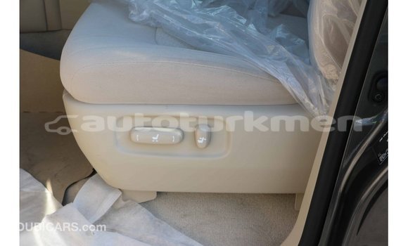 Buy Import Toyota Land Cruiser Black Car in Import - Dubai in Ahal Buy Import Toyota Land Cruiser Black Car in Import - Dubai in Ahal