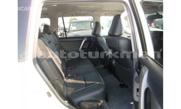 Buy Import Toyota Prado White Car in Import - Dubai in Ahal Buy Import Toyota Prado White Car in Import - Dubai in Ahal