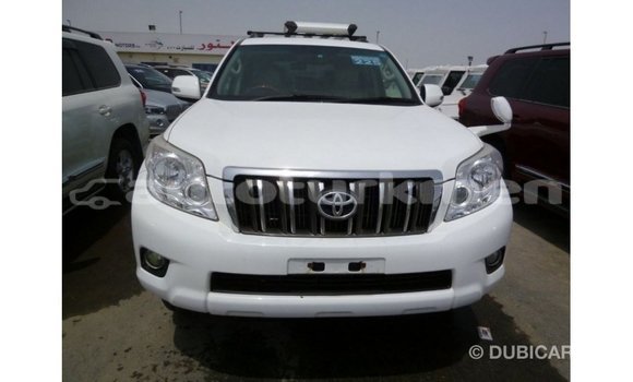 Buy Import Toyota Prado White Car in Import - Dubai in Ahal Buy Import Toyota Prado White Car in Import - Dubai in Ahal