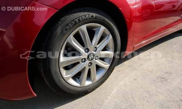 Buy Import Hyundai Elantra Red Car in Import - Dubai in Ahal