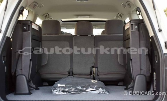 Buy Import Toyota Land Cruiser White Car in Import - Dubai in Ahal Buy Import Toyota Land Cruiser White Car in Import - Dubai in Ahal