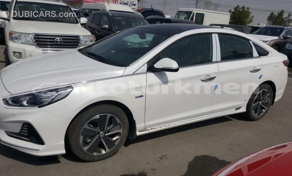 Buy Import Hyundai Sonata White Car in Import - Dubai in Ahal Buy Import Hyundai Sonata White Car in Import - Dubai in Ahal