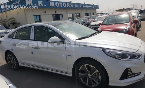 Buy Import Hyundai Sonata White Car in Import - Dubai in Ahal Buy Import Hyundai Sonata White Car in Import - Dubai in Ahal