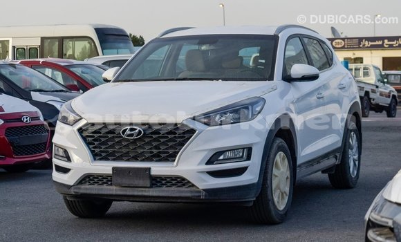 Buy Import Hyundai Tucson White Car in Import - Dubai in Ahal Buy Import Hyundai Tucson White Car in Import - Dubai in Ahal