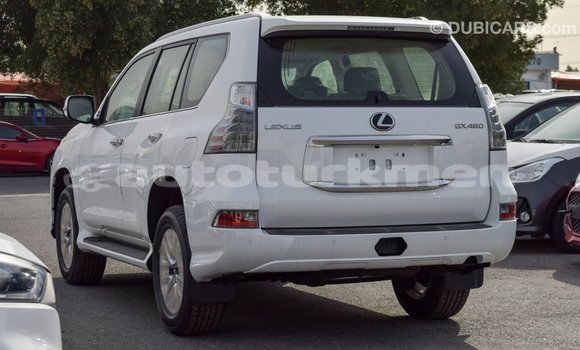 Buy Import Lexus GX White Car in Import - Dubai in Ahal Buy Import Lexus GX White Car in Import - Dubai in Ahal