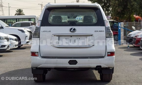 Buy Import Lexus GX White Car in Import - Dubai in Ahal Buy Import Lexus GX White Car in Import - Dubai in Ahal