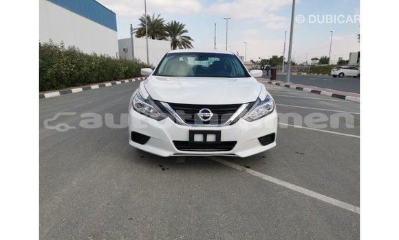 Buy Import Nissan Altima White Car in Import - Dubai in Ahal Buy Import Nissan Altima White Car in Import - Dubai in Ahal
