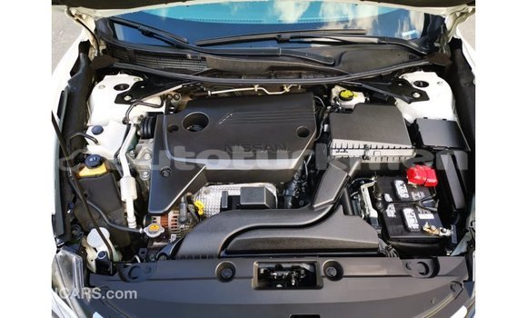 Buy Import Nissan Altima White Car in Import - Dubai in Ahal Buy Import Nissan Altima White Car in Import - Dubai in Ahal