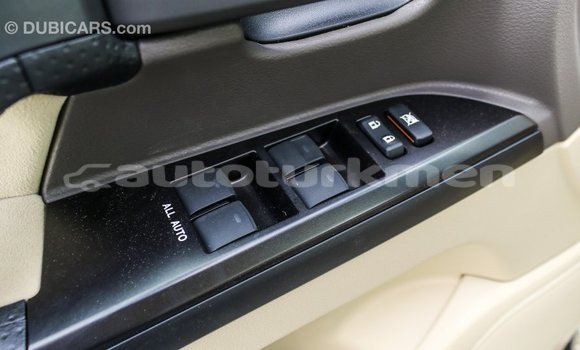 Buy Import Toyota Land Cruiser White Car in Import - Dubai in Ahal Buy Import Toyota Land Cruiser White Car in Import - Dubai in Ahal