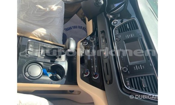 Buy Import Kia Carnival White Car in Import - Dubai in Ahal Buy Import Kia Carnival White Car in Import - Dubai in Ahal