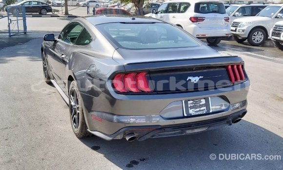 Buy Import Ford Mustang Other Car in Import - Dubai in Ahal Buy Import Ford Mustang Other Car in Import - Dubai in Ahal