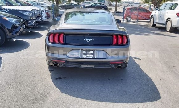 Buy Import Ford Mustang Other Car in Import - Dubai in Ahal Buy Import Ford Mustang Other Car in Import - Dubai in Ahal