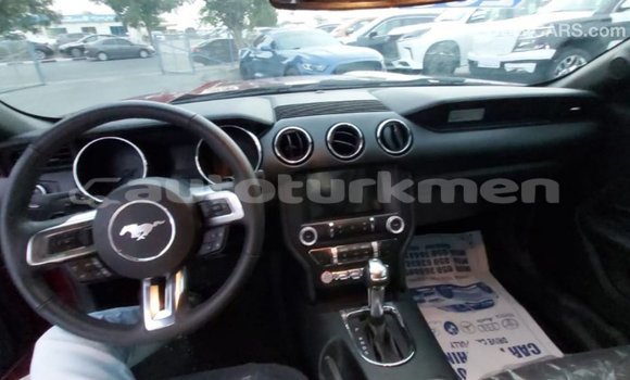 Buy Import Ford Mustang Red Car in Import - Dubai in Ahal Buy Import Ford Mustang Red Car in Import - Dubai in Ahal