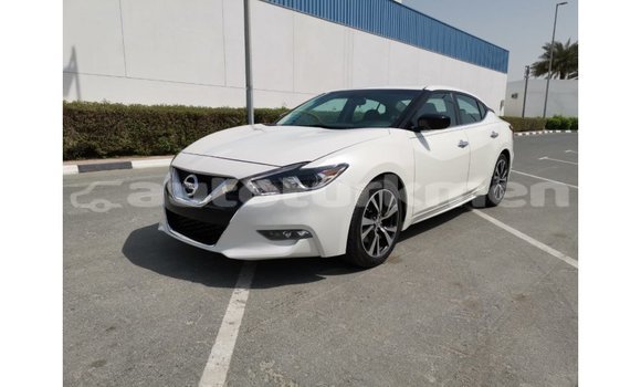 Buy Import Nissan Maxima White Car in Import - Dubai in Ahal Buy Import Nissan Maxima White Car in Import - Dubai in Ahal