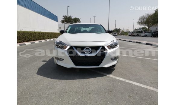 Buy Import Nissan Maxima White Car in Import - Dubai in Ahal Buy Import Nissan Maxima White Car in Import - Dubai in Ahal