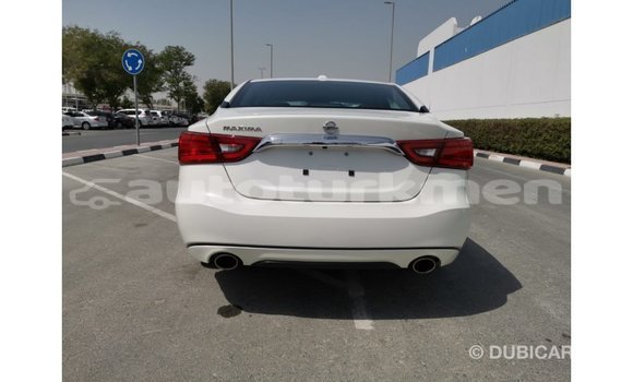 Buy Import Nissan Maxima White Car in Import - Dubai in Ahal Buy Import Nissan Maxima White Car in Import - Dubai in Ahal