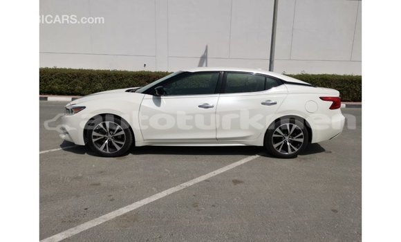 Buy Import Nissan Maxima White Car in Import - Dubai in Ahal Buy Import Nissan Maxima White Car in Import - Dubai in Ahal