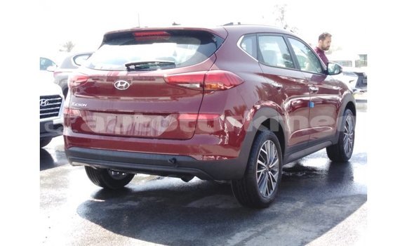 Buy Import Hyundai Tucson Red Car in Import - Dubai in Ahal Buy Import Hyundai Tucson Red Car in Import - Dubai in Ahal