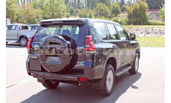 Buy Import Toyota Hilux Black Car in Import - Dubai in Ahal Buy Import Toyota Hilux Black Car in Import - Dubai in Ahal